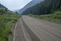 dirt road with trees and mountains in the background on sunny day in montana, u s