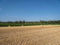 a field with bales and corn in the distance is a line of trees and fields