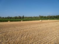 a field with bales and corn in the distance is a line of trees and fields