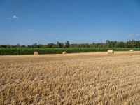 a field with bales and corn in the distance is a line of trees and fields