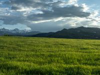 a lone country road is in the countryside area with mountains on both sides and barbed fence between the two sides