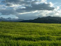 a lone country road is in the countryside area with mountains on both sides and barbed fence between the two sides