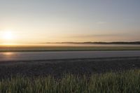 a field with tall grass and a lone horse at sunset on it's side