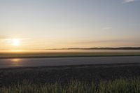 a field with tall grass and a lone horse at sunset on it's side