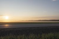 a field with tall grass and a lone horse at sunset on it's side