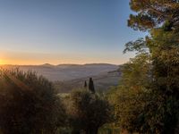 the sun rising over the hills near the mountains, with trees and grass in foreground