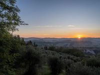 the sun rising over the hills near the mountains, with trees and grass in foreground