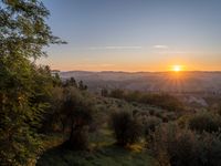 the sun rising over the hills near the mountains, with trees and grass in foreground