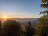 the sun rising over the hills near the mountains, with trees and grass in foreground