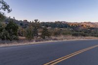 Rural Landscape at Dawn with Road and Trees