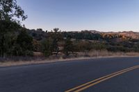 Rural Landscape at Dawn with Road and Trees