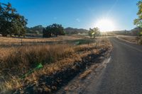 the road in front of the sun has tall grasses on it, with long grass lining both sides of the road