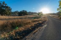 the road in front of the sun has tall grasses on it, with long grass lining both sides of the road