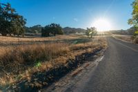 the road in front of the sun has tall grasses on it, with long grass lining both sides of the road