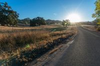 the road in front of the sun has tall grasses on it, with long grass lining both sides of the road