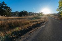 the road in front of the sun has tall grasses on it, with long grass lining both sides of the road