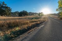 the road in front of the sun has tall grasses on it, with long grass lining both sides of the road