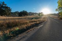 the road in front of the sun has tall grasses on it, with long grass lining both sides of the road