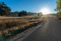 the road in front of the sun has tall grasses on it, with long grass lining both sides of the road