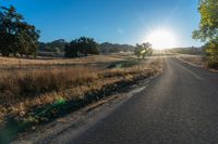 the road in front of the sun has tall grasses on it, with long grass lining both sides of the road