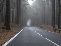 Rural Landscape at Dawn in Tenerife, Canary Islands