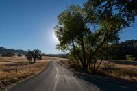 an empty road passing through dry grass fields and trees as the sun shines on the horizon