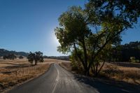 an empty road passing through dry grass fields and trees as the sun shines on the horizon