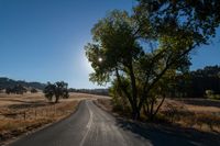 an empty road passing through dry grass fields and trees as the sun shines on the horizon