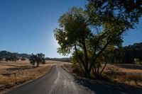 an empty road passing through dry grass fields and trees as the sun shines on the horizon