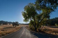 an empty road passing through dry grass fields and trees as the sun shines on the horizon