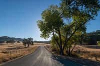 an empty road passing through dry grass fields and trees as the sun shines on the horizon