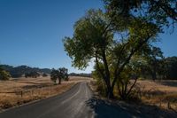 an empty road passing through dry grass fields and trees as the sun shines on the horizon