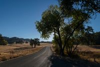 an empty road passing through dry grass fields and trees as the sun shines on the horizon