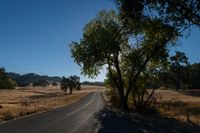 an empty road passing through dry grass fields and trees as the sun shines on the horizon