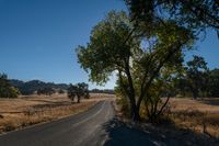 an empty road passing through dry grass fields and trees as the sun shines on the horizon