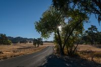 an empty road passing through dry grass fields and trees as the sun shines on the horizon