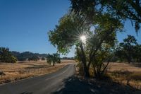 an empty road passing through dry grass fields and trees as the sun shines on the horizon