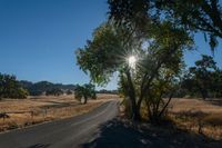 an empty road passing through dry grass fields and trees as the sun shines on the horizon