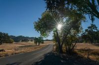 an empty road passing through dry grass fields and trees as the sun shines on the horizon