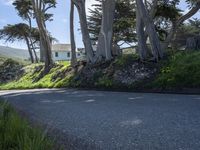 Rural Landscape in California: A Serene Daytime Scene