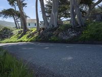 Rural Landscape in California: A Serene Daytime Scene