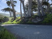 Rural Landscape in California: A Serene Daytime Scene