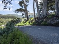 Rural Landscape in California: A Serene Daytime Scene