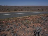 a road stretching through the desert towards the horizon of land with trees and bushes on both sides