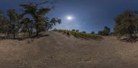 the sun shines brightly on a clear day, while a man rides a dirt bike on a trail