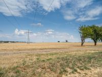 a dirt road is running between some trees in the grass in a field near the water