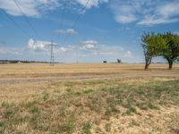 a dirt road is running between some trees in the grass in a field near the water