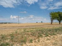 a dirt road is running between some trees in the grass in a field near the water