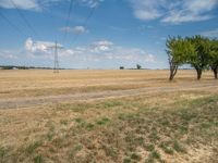 a dirt road is running between some trees in the grass in a field near the water