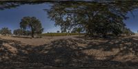 a mirror showing a field and trees in the background and someone taking a photo of it